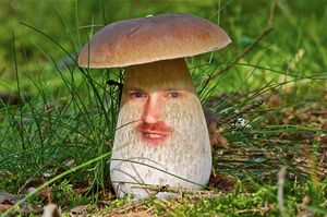 Maslenock-mushroom-face.jpg